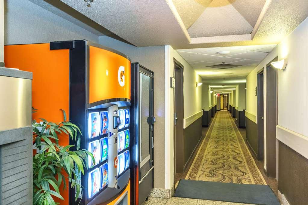 Quality Inn & Suites Yorkton Servizi foto